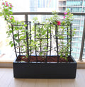 3 Bougainvillea Spectabilis 80 - 100cm in Grp Planter (100 - 30 - 30cm) - Greensouq - 