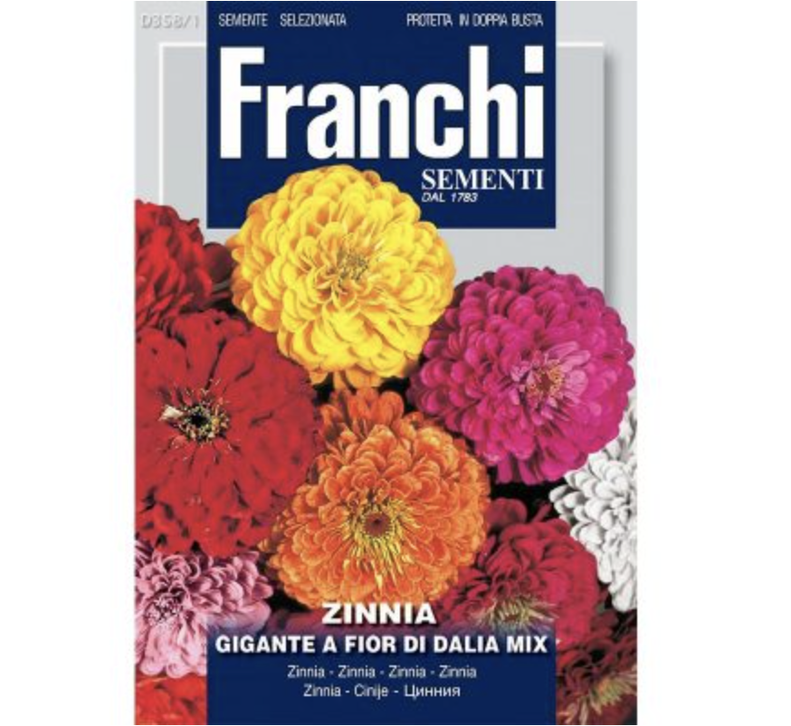 Zinnia Dahlia Mix "Gigante A Fior Di Dalia" Seeds by Franchi Green Souq