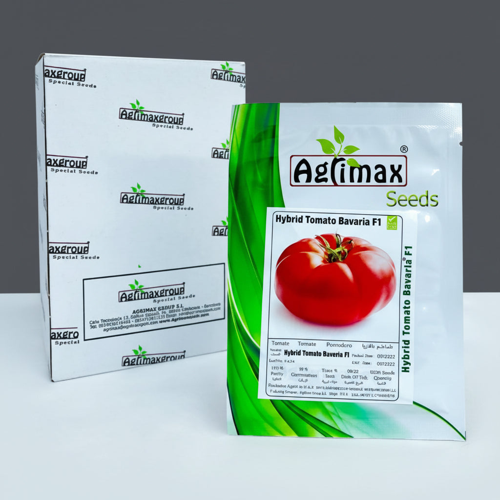 Agrimax Hybrid Tomato Bavaria F1 Premium Quality Seeds (Made in Spain) by Agrimaxgroup® - Greensouq - 