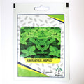 Amranthus KSP 183 F1 Hybrid Premium Quality Seeds -Amranthus Seeds / Greensouq -