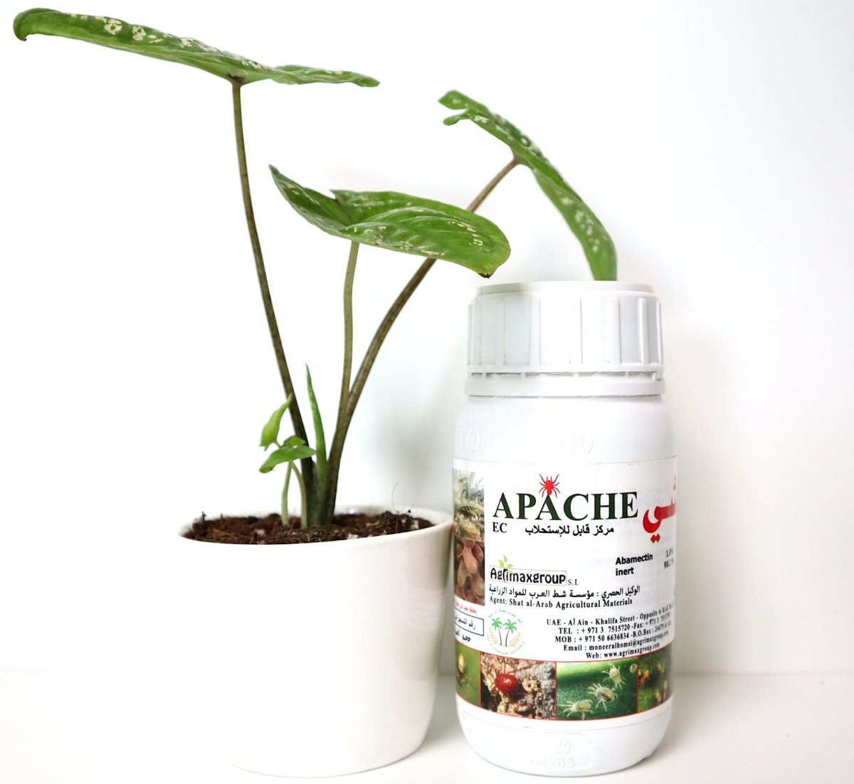 Apache Acaricide 1.8% EC "Acaricide & Insecticide" - Greensouq -