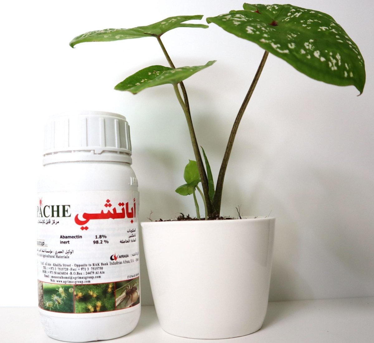 Apache Acaricide 1.8% EC "Acaricide & Insecticide" - Greensouq -