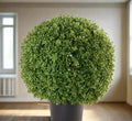 Artificial Buxus Ball Shape (35cm Dia) - Greensouq - 
