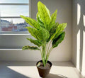 Artificial Calathea 50cm - Greensouq - 