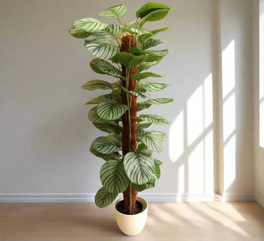 Artificial Calathea Orbifolia 130cm - Greensouq - 