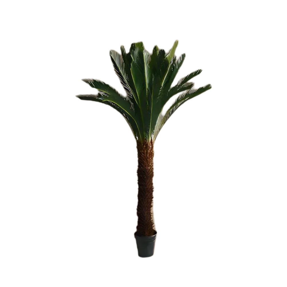 Artificial Cycas (2 m) - Greensouq - 