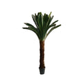 Artificial Cycas (2 m) - Greensouq - 