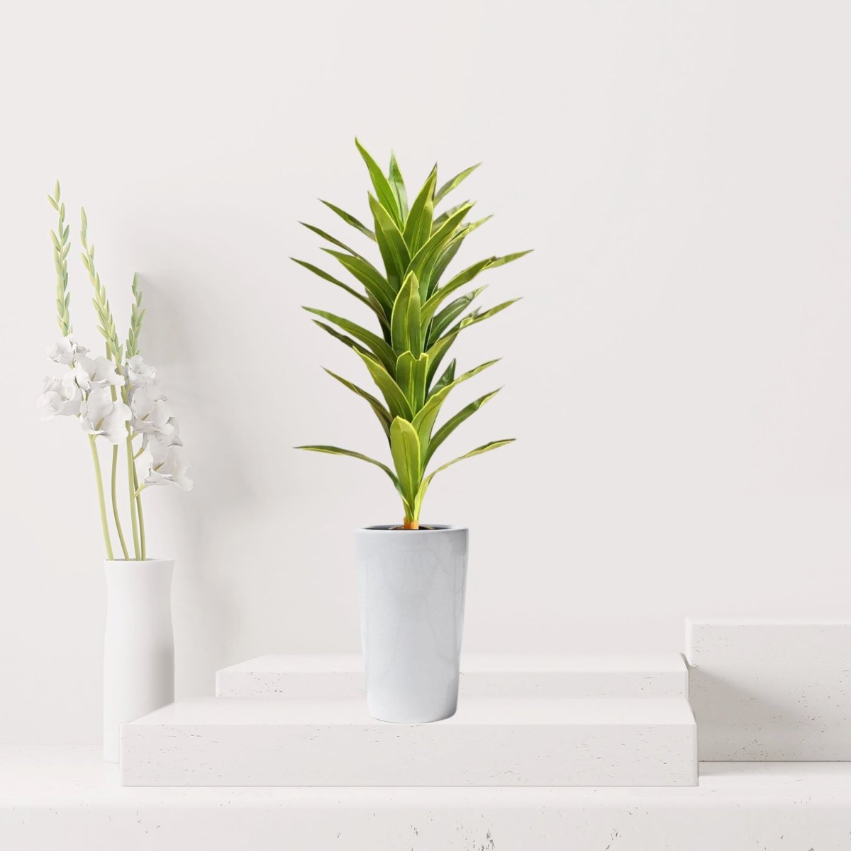 Artificial Dracaena fragrans “Golden Coast” 130cm - Greensouq - 