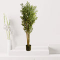 Artificial Olive Tree – 1.8 Meter Height | Natural Wood Trunk - Greensouq - 