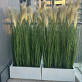 Artificial Pampas Grass With GRP Rectangle Pots - Greensouq - 
