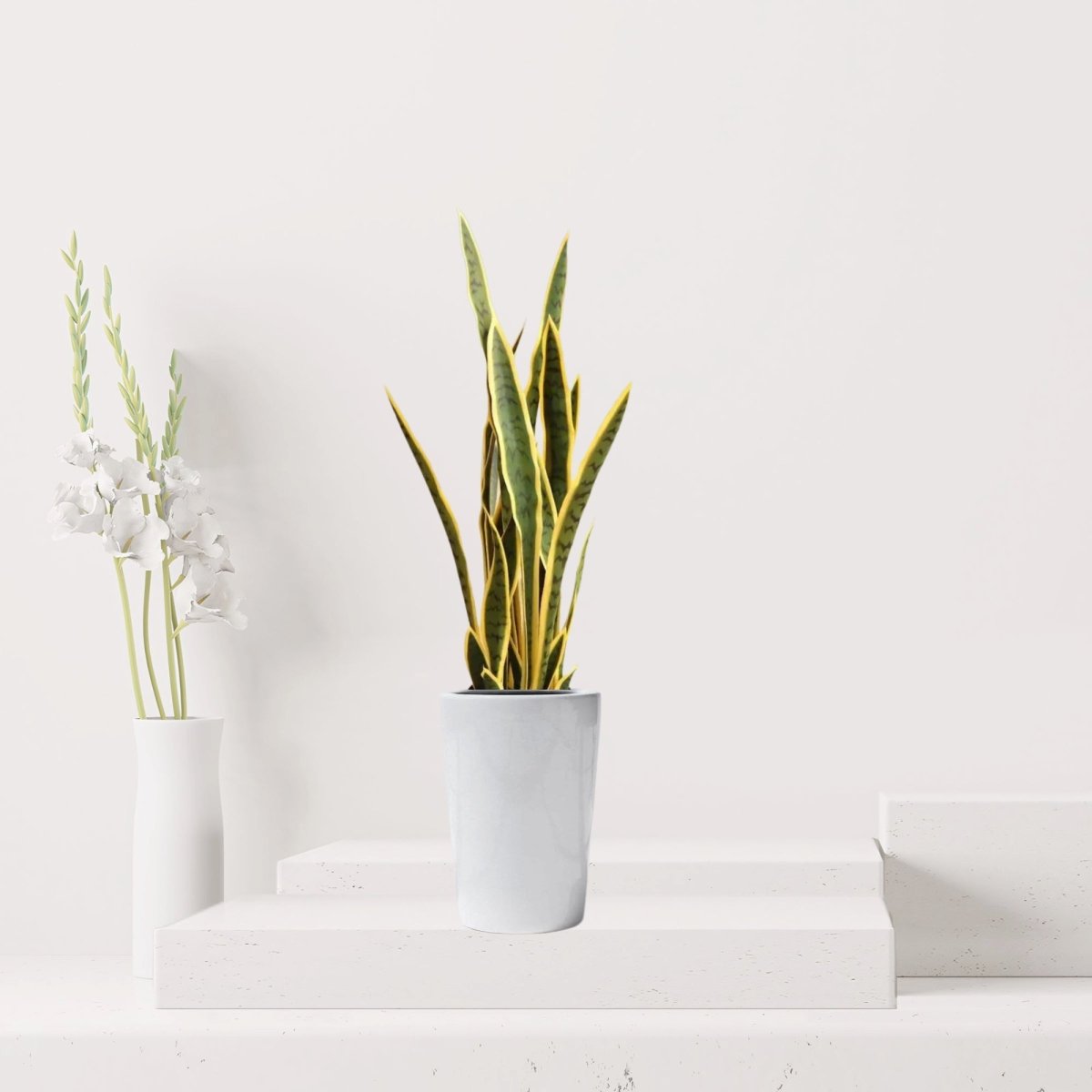 Artificial Snake Plant | Artificial Sansevieria trifasciata 95cm - Greensouq -