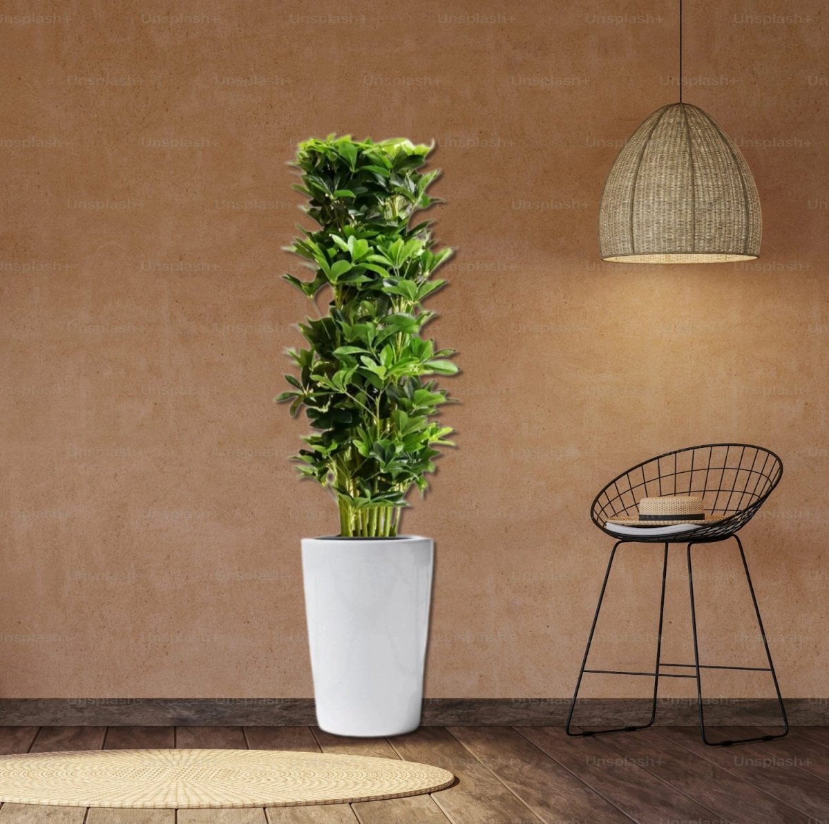 Artificial Schefflera arboricola "Green" 120cm - Greensouq - 