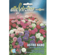 Nano Multicolor Seeds | Premium Quality Seeds by Alta Selezione - Greensouq -