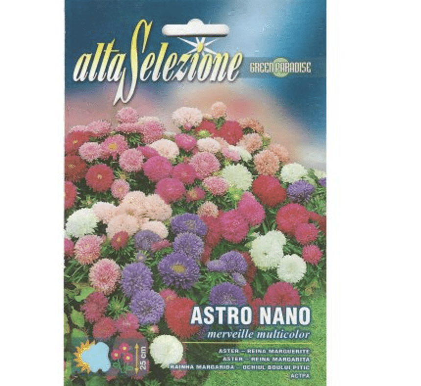 Nano Multicolor Seeds | Premium Quality Seeds by Alta Selezione - Greensouq -
