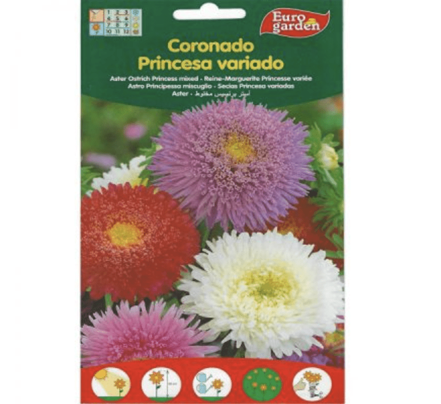 Ostrich Princess Seeds Aster Mix Premium Quality Seeds by EuroGarden - Greensouq -