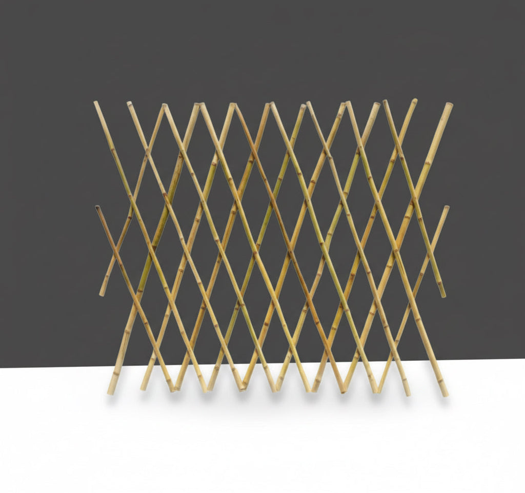 Bamboo trellis “Ideal For Climbing Plants” - Greensouq -