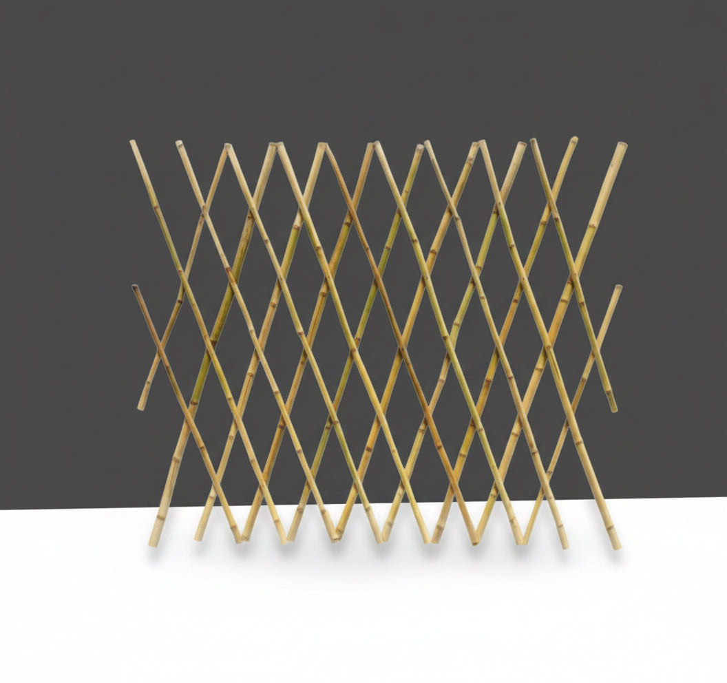 Bamboo trellis “Ideal For Climbing Plants” - Greensouq -