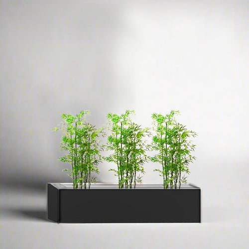 3x Bamboo Multiplex Trio in Rectangular Fiber Glass Planter (GRP) (90x30x30cm) - Greensouq -