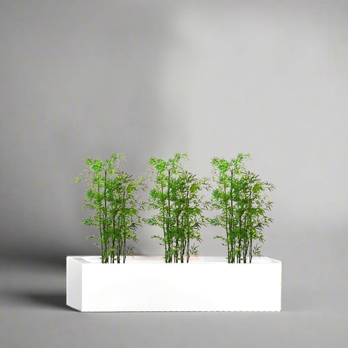 3x Bamboo Multiplex Trio in Rectangular Fiber Glass Planter (GRP) (90x30x30cm) - Greensouq -