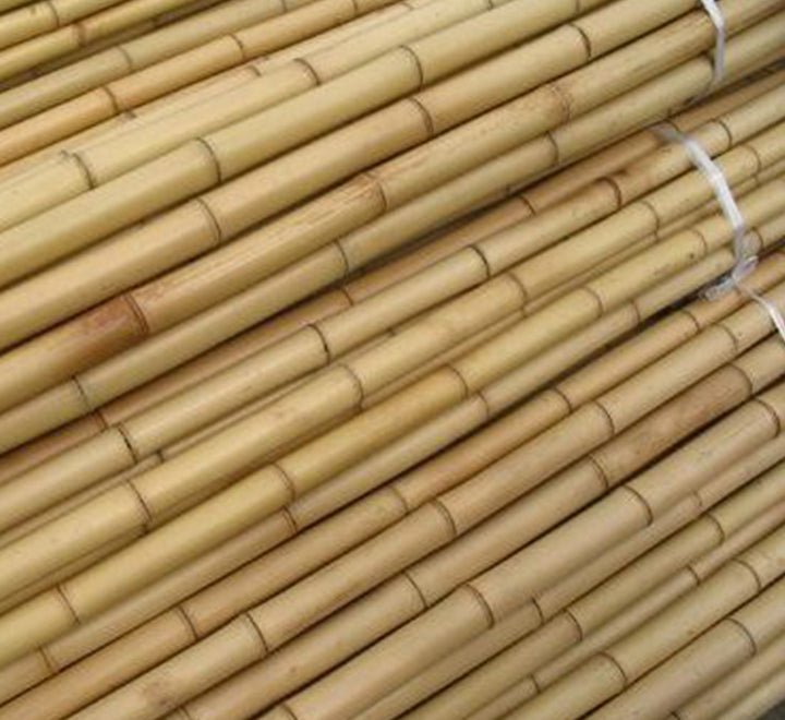 Bamboo Stick "Per Piece" 15 - 30mm Dia "Ideal for Plant Support" - Greensouq - 