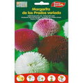 Margarita Seeds | Bellis Pomponette "Margarita" Mix Premium Quality Seeds by EuroGarden - Greensouq -
