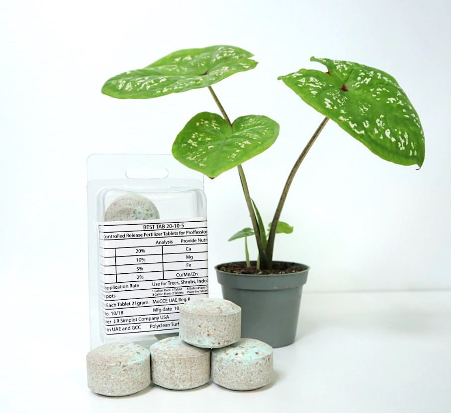 Best Tab "NPK Fertilizer Tablets" with Complete Essential Nutrients For Indoor and Outdoor Plants - Greensouq - 