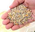 Wild Bird Feed "Feed Wild Bird in your Backyard" - Greensouq -
