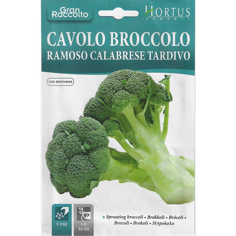 Broccoli Seeds "Cavolo Broccolo Ramoso Calabrese Tardivo" Seeds by Hortus - Greensouq -