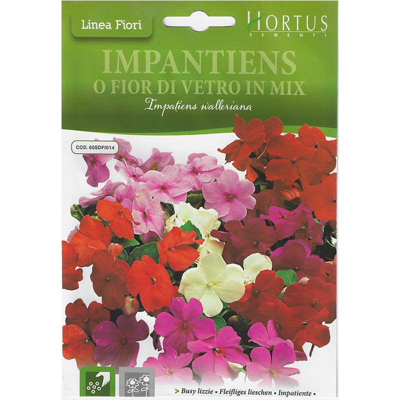 Busy Lizzie Seeds "Impantiens O Fior di Vetro In Mix" Premium Quality Seeds by Hortus Sementi - Greensouq -