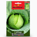 Cabbage Seeds | Cabbage Agrimax Seeds - Greensouq -