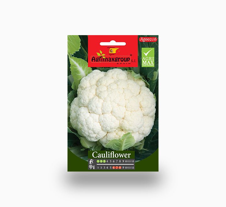 Agrimax Cauliflower Seeds - Greensouq -