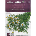 Chamomile Seeds "Camomilla Comune" Premium Quality Seeds by Hortus Sementi - Greensouq -