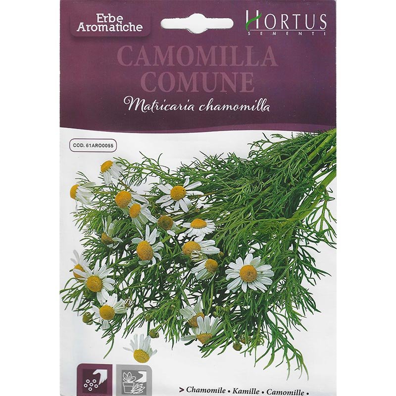 Chamomile Seeds "Camomilla Comune" Premium Quality Seeds by Hortus Sementi - Greensouq -