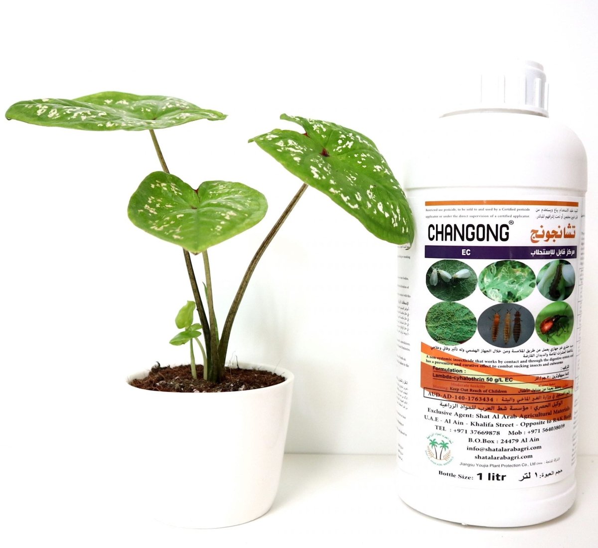 Changong Insecticide Changong EC "Insecticide" 1Ltr - Greensouq -