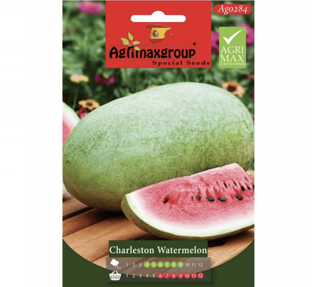 Agrimax Charleston Watermelon Seeds - Greensouq -