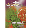 Premium Chives Seeds "Erba Cipollina" Premium Quality Seeds by Alta Selezione - Greensouq -