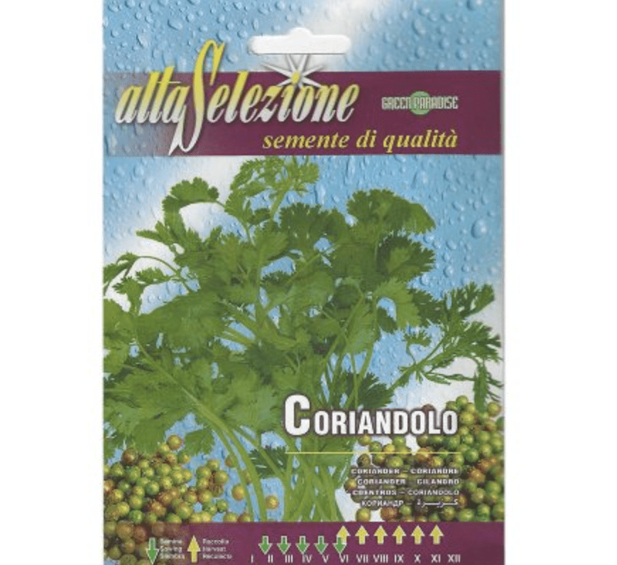 Coriander Seeds "Coriandolo" Premium Quality Seeds by Alta Selezione - Greensouq -
