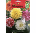 Dahlia Decorative mix Flower Seeds by Agrimax Spain - Greensouq - 