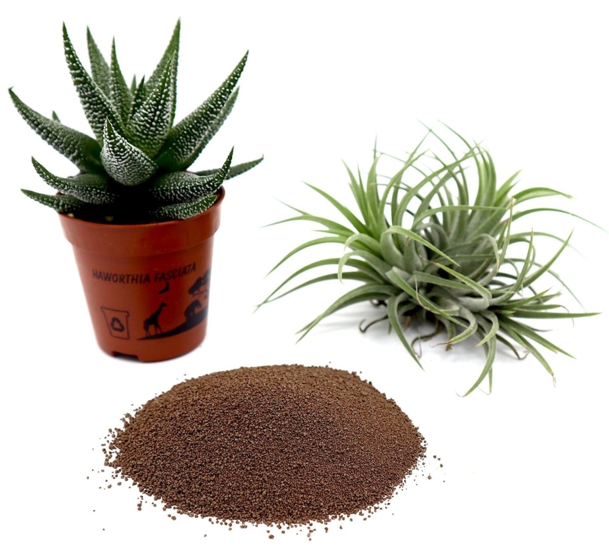 Calcium Fertilizer | Disper CaB Best for Boron & Calcium Deficiencies - Greensouq -