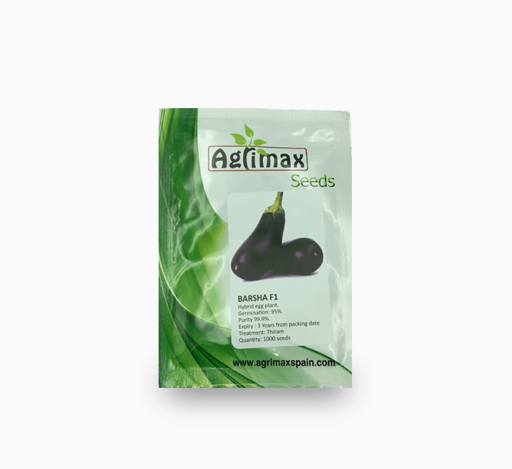 Barsha Egg Plant Seeds F1 Premium Quality Seeds - Greensouq -