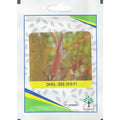 Okra Seeds / Kalash Okra BSS 9301 F1 Hybrid Premium Quality Seeds - Greensouq -