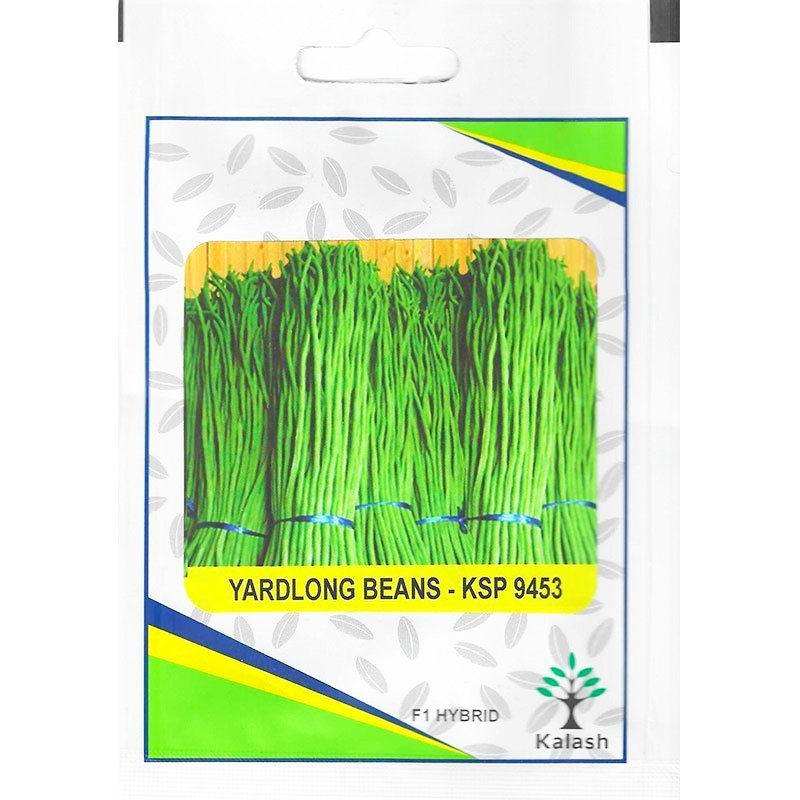 Kalash Yardlong Beans Seeds f1 KSP 9453 F1 Hybrid Premium Quality Seeds - Greensouq -