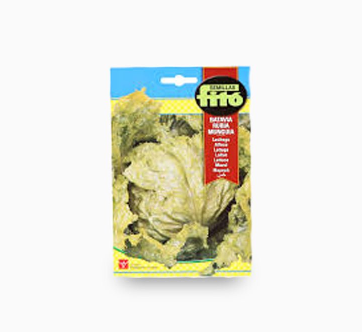 FITO Lettuce Seeds Batavia Rubia Munguia 7g - Fito - Greensouq -