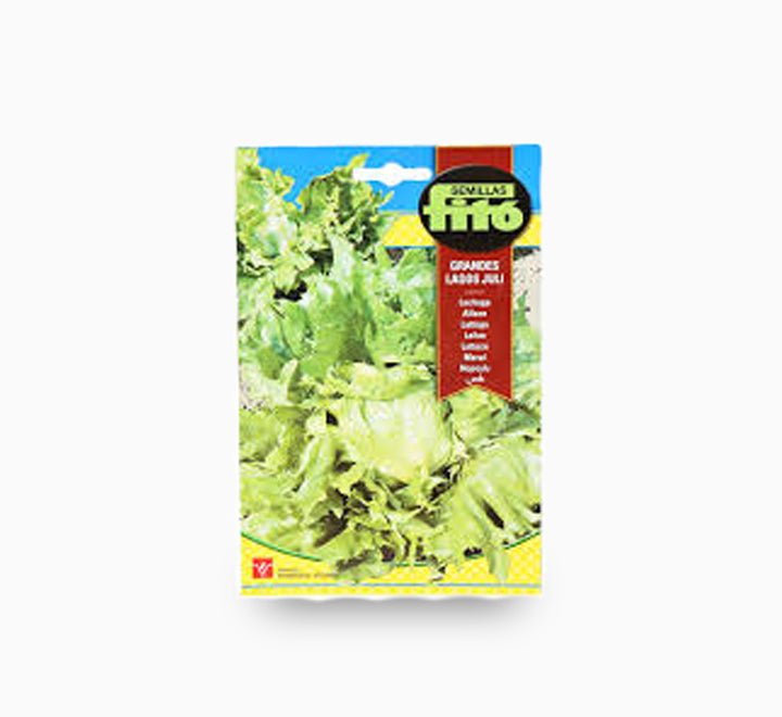Lettuce Grandes Lagos Juli 6g - Fito - Greensouq - 