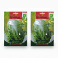 Agrimax Lollo Lettuce Seeds - Greensouq -