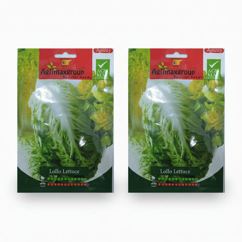 Agrimax Lollo Lettuce Seeds - Greensouq -