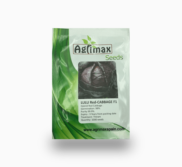 LULU Red Cabbage Seeds (F1 Premium Quality) - Greensouq -