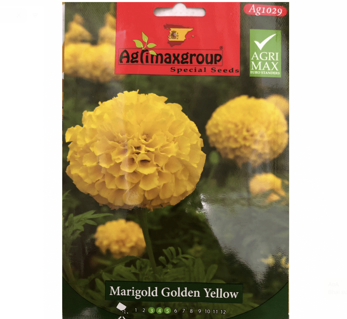 Marigold Golden Yellow Flower Seeds by Agrimax Spain - Greensouq - 