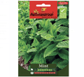 Agrimax Mint Seeds - Greensouq -