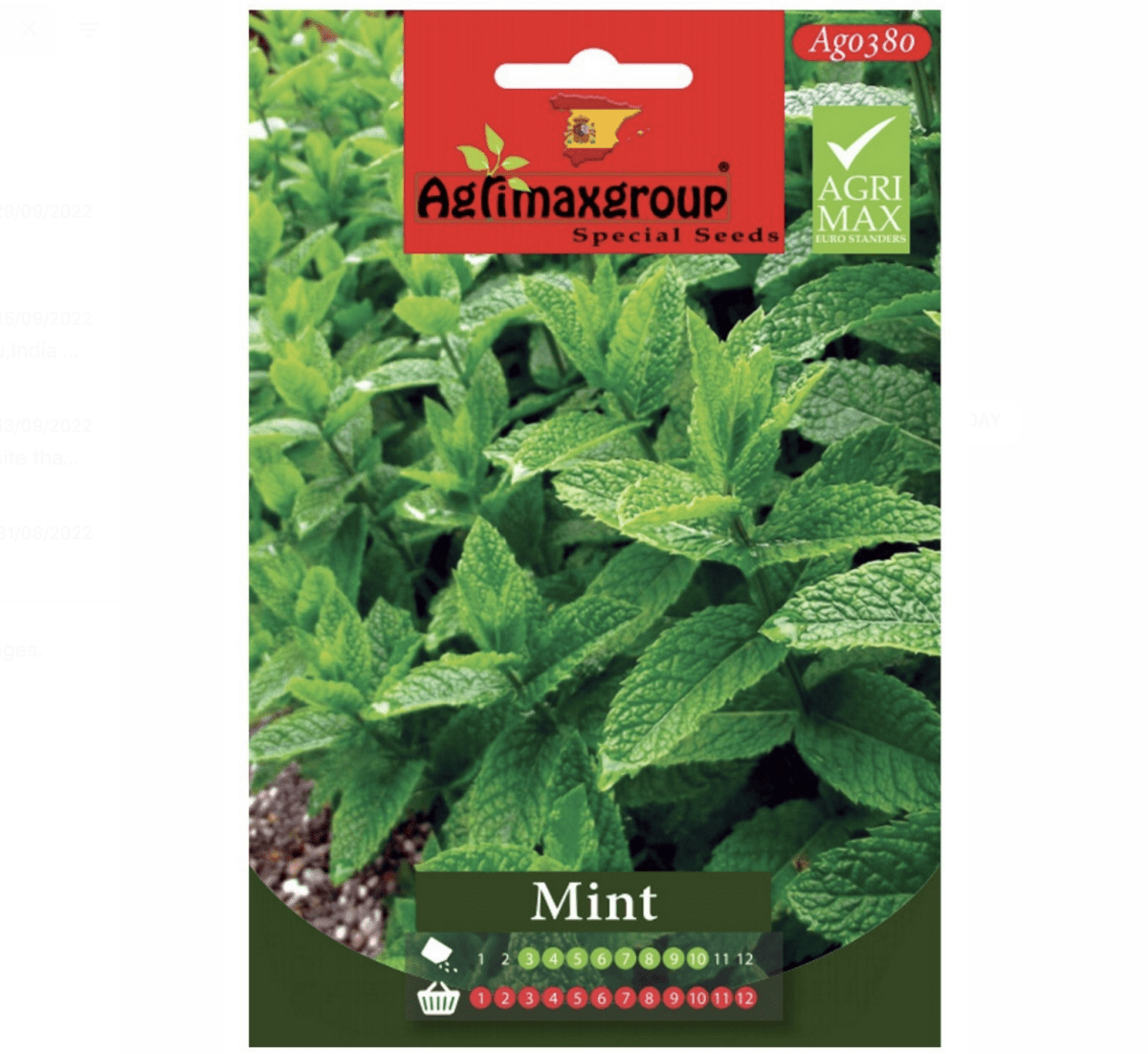 Agrimax Mint Seeds - Greensouq -